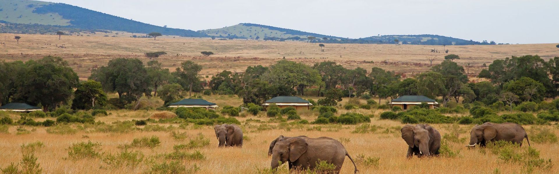 kenya