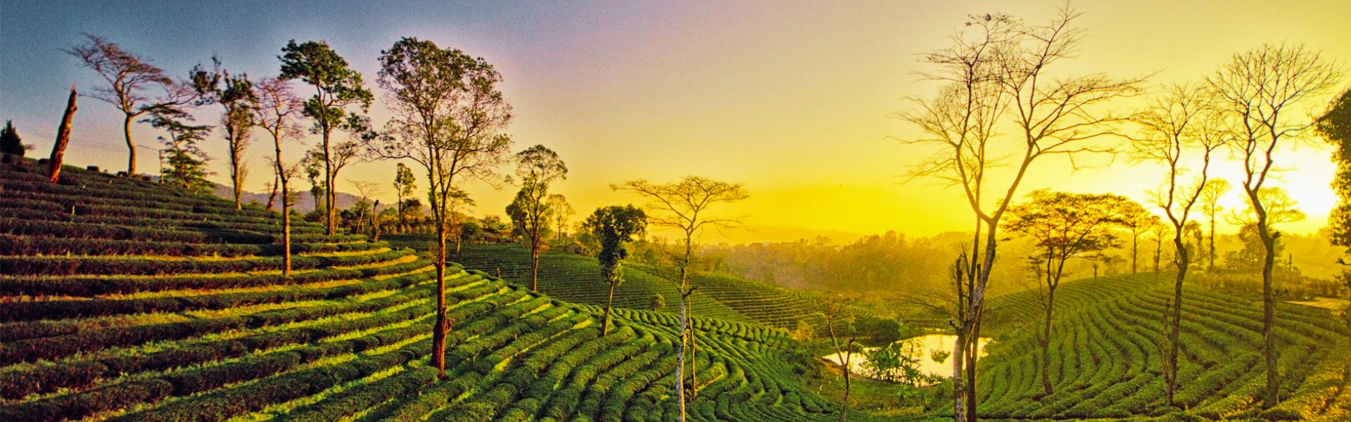assam