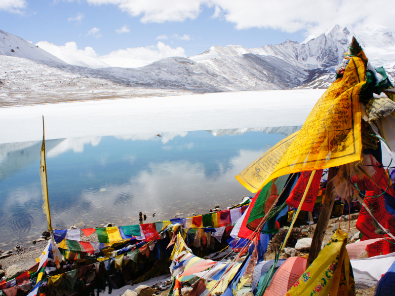 Feed the Elephants in the Signature Safari Adventure Tour