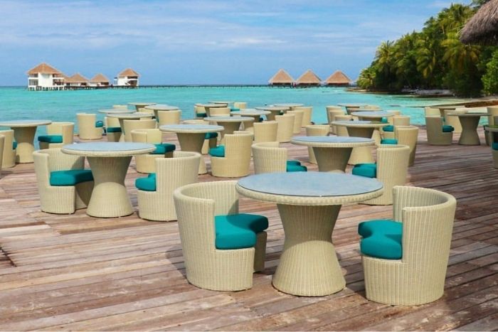 Feed the Elephants in the Signature Safari Adventure Tour