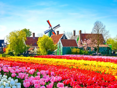 The Essential Holland And France