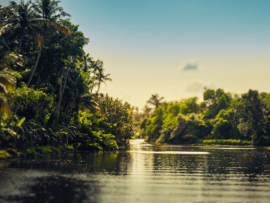 Heavenly Kerala Sojourn