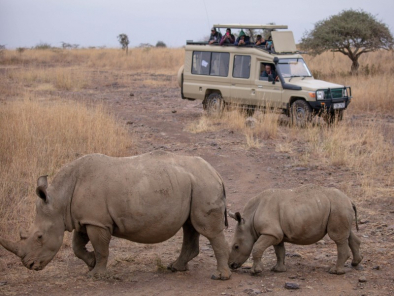 Serene Kenyan Safari