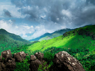 Nature's Tapestry: Coorg-wayanad Di